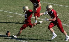 开云官方app入口-冰岛奇迹的传承与新生，劳塔罗在2026世界杯的接管时刻